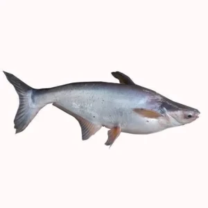 Obokun 1kg