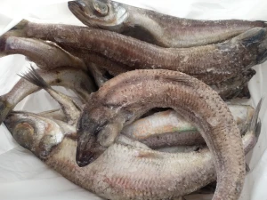 Ojuyobo/Ajentina 1kg