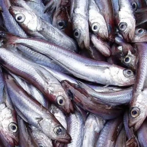 Panla Egun 1kg